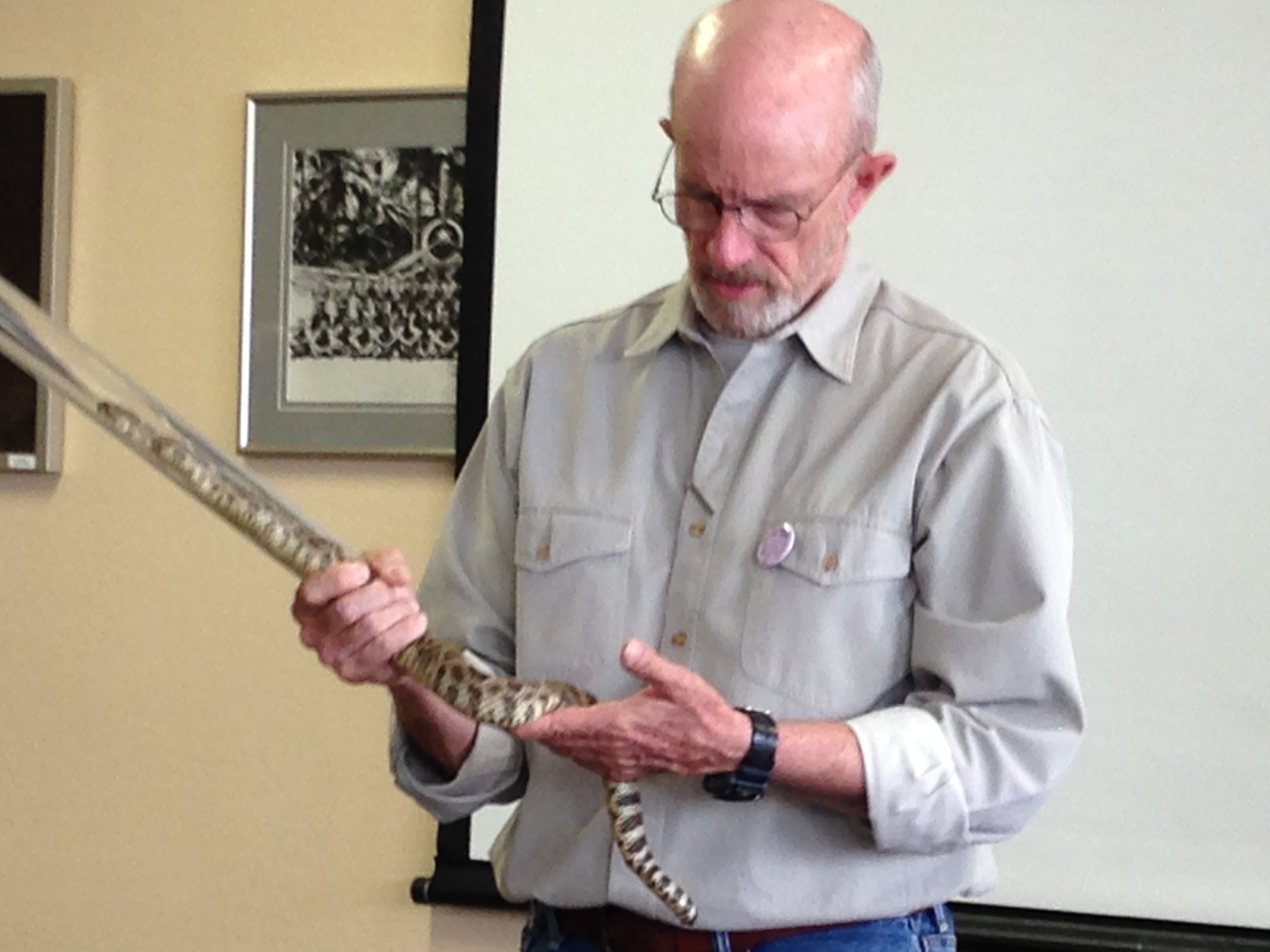 Living With Rattlesnakes Pilot Hill Estates