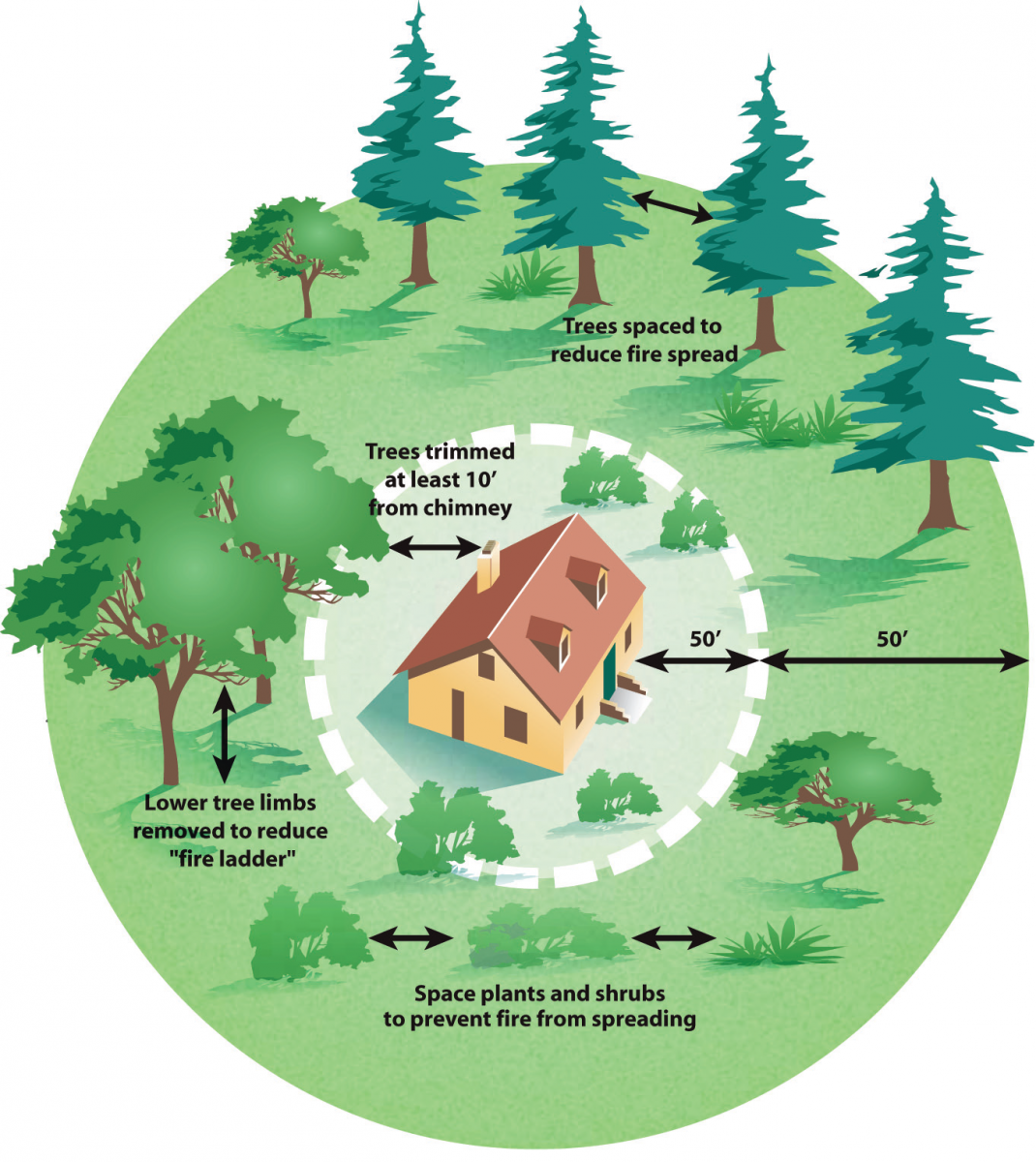 Creating Safe Defensible Space Around Your Home | Pilot Hill Estates